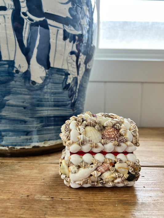 Treasure chest shell box
