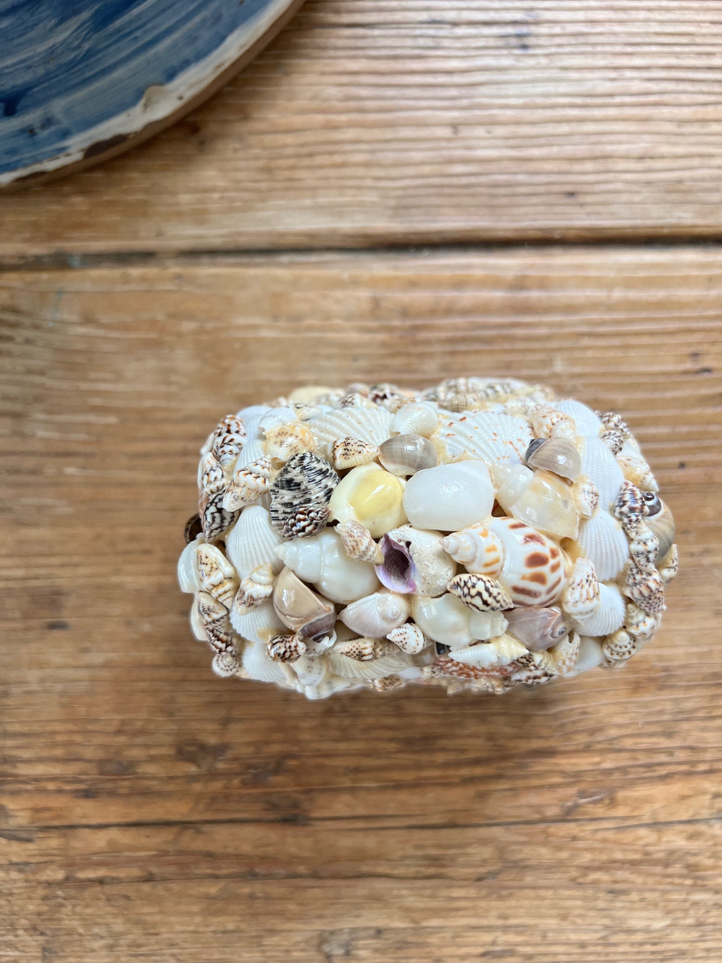 Treasure chest shell box