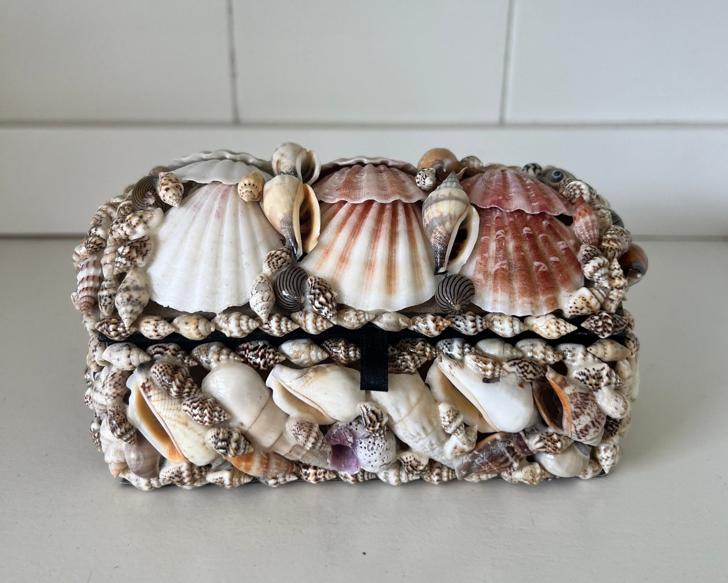 Shell Box