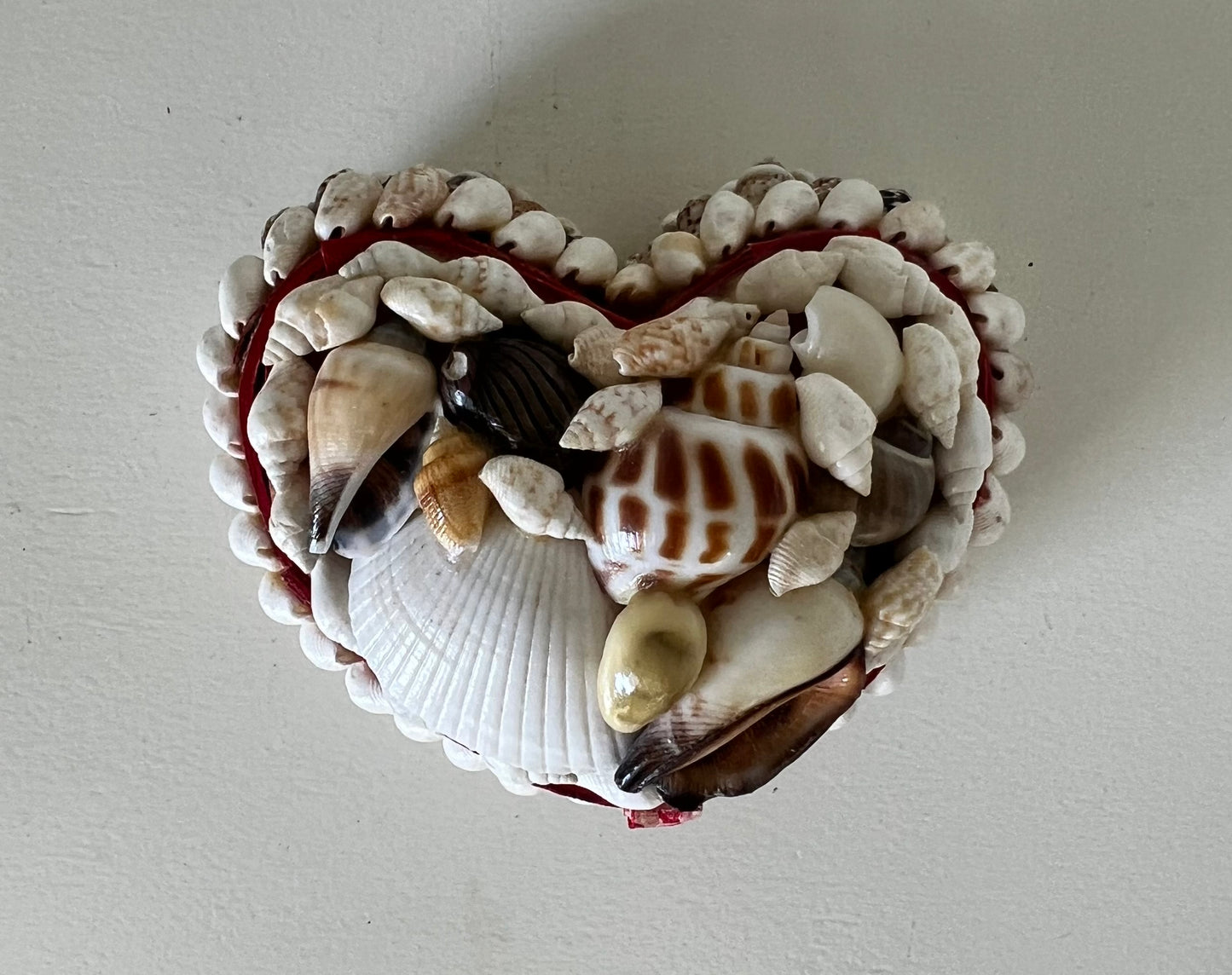 Heart Shell box